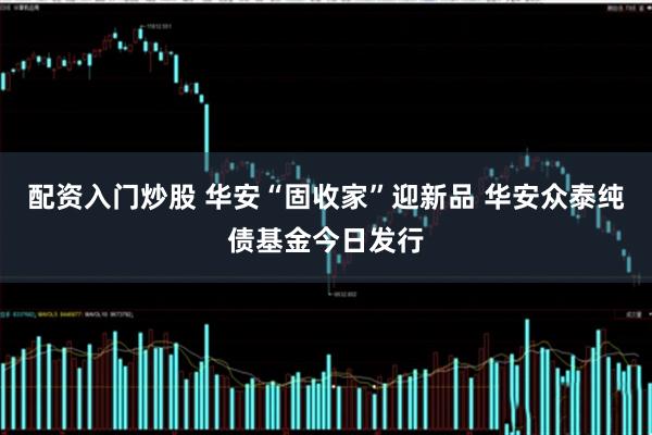 配资入门炒股 华安“固收家”迎新品 华安众泰纯债基金今日发行