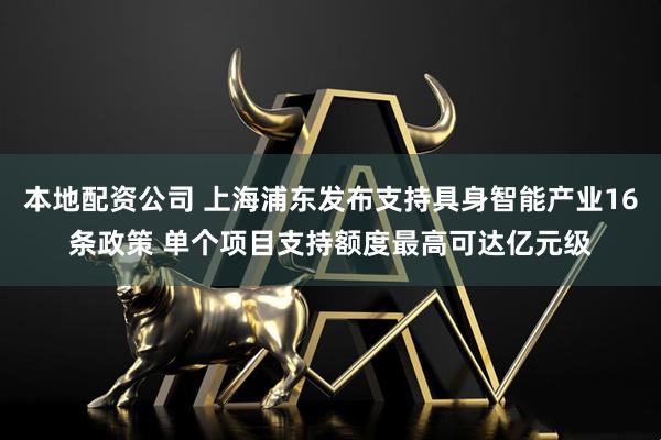 本地配资公司 上海浦东发布支持具身智能产业16条政策 单个项目支持额度最高可达亿元级