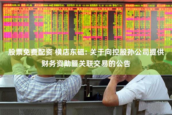 股票免费配资 横店东磁: 关于向控股孙公司提供财务资助暨关联交易的公告