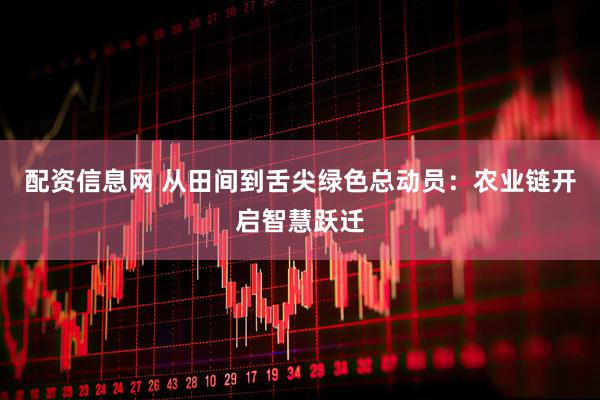 配资信息网 从田间到舌尖绿色总动员：农业链开启智慧跃迁